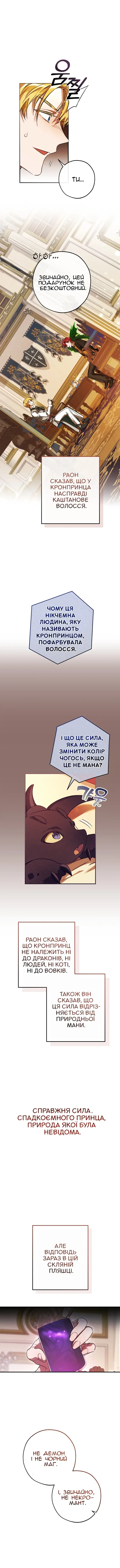 Сторінка 13