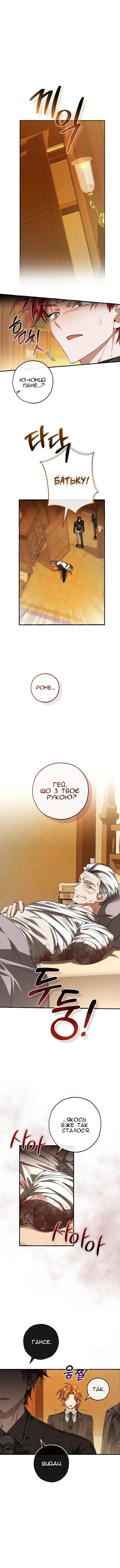 Сторінка 11