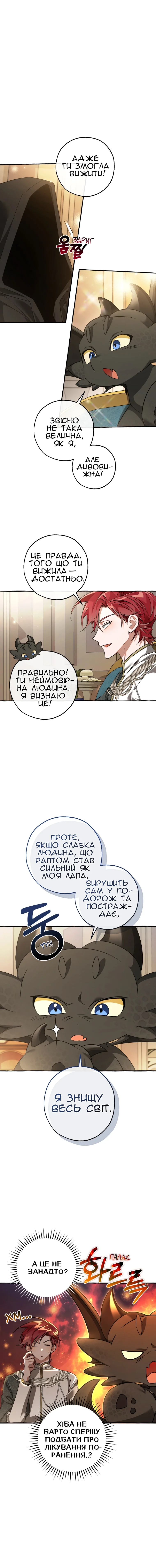 Сторінка 8