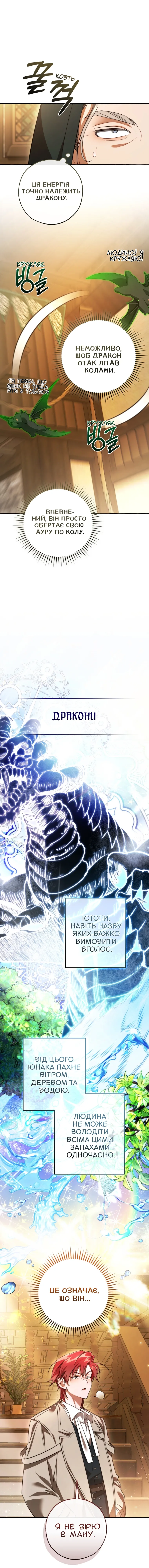 Сторінка 11
