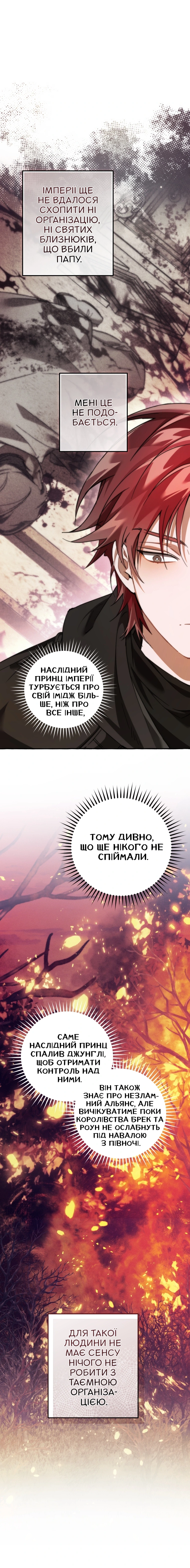 Сторінка 12