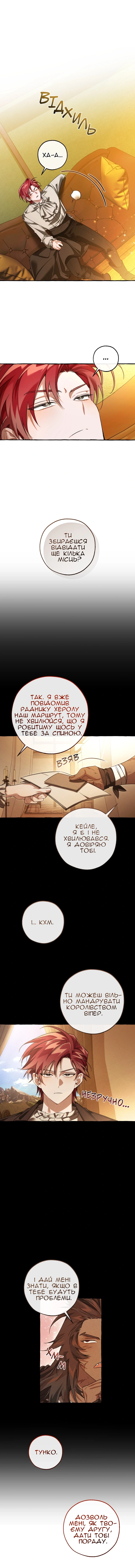 Сторінка 9