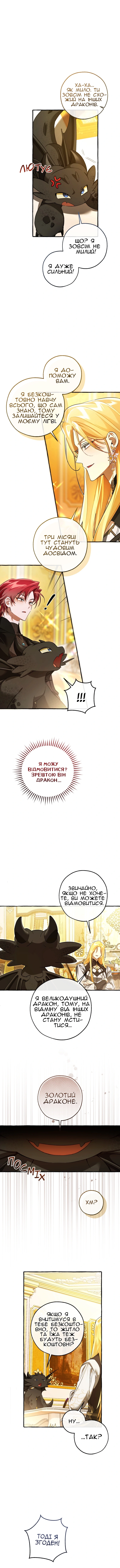 Сторінка 13