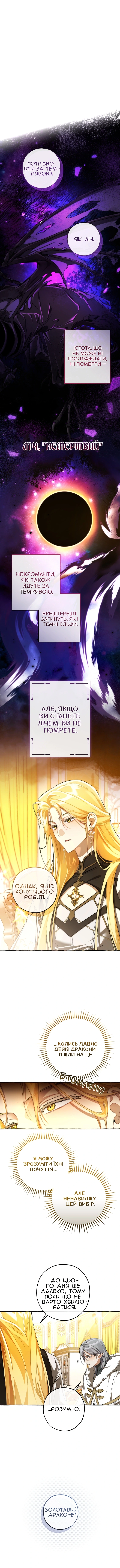 Сторінка 3