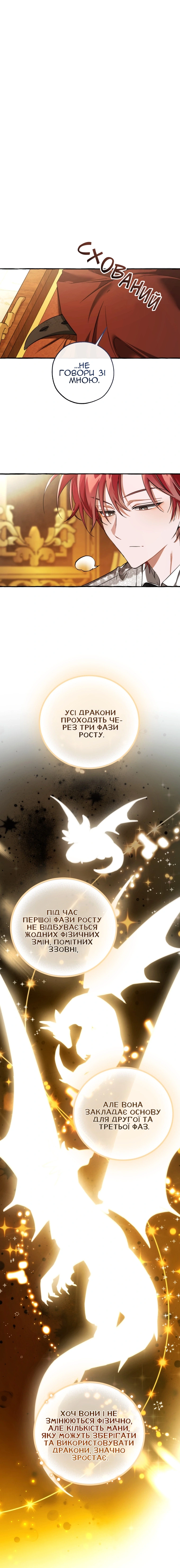 Сторінка 13