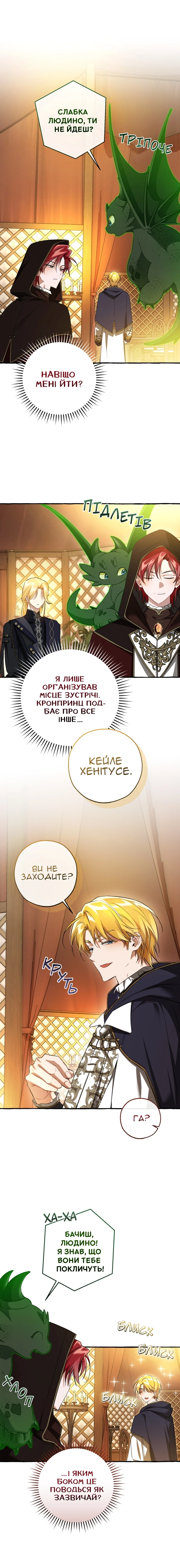Сторінка 9