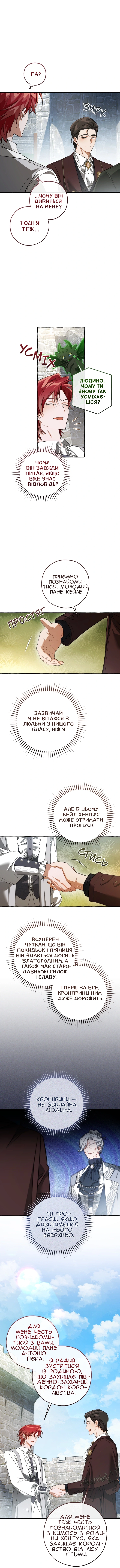 Сторінка 11