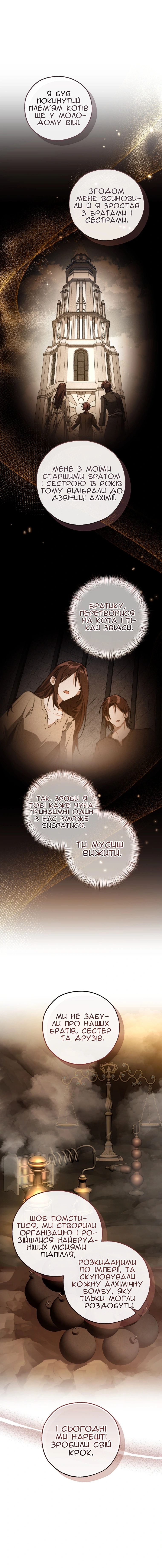 Сторінка 11