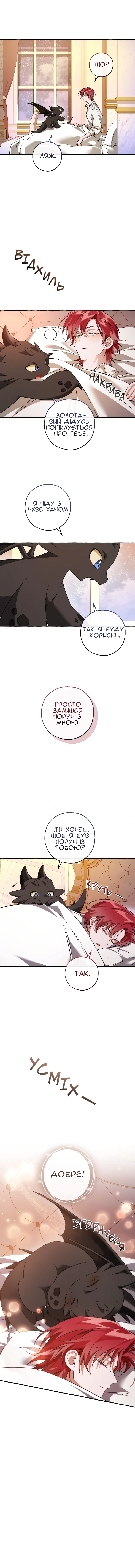 Сторінка 11