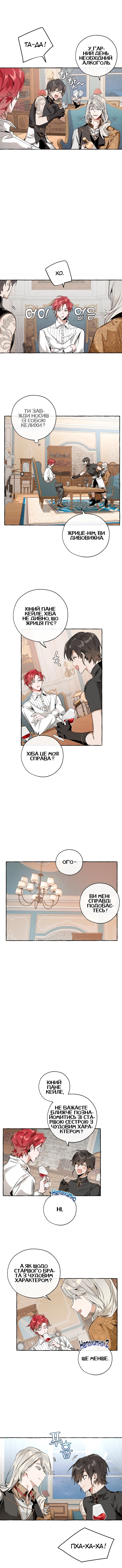 Сторінка 11