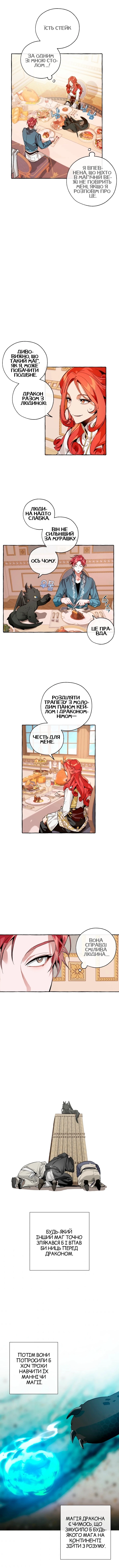 Сторінка 8