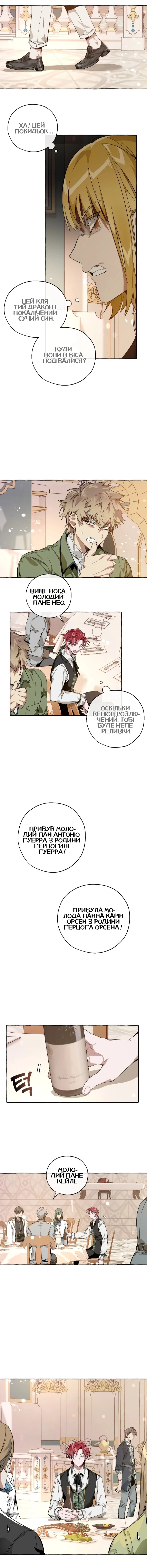Сторінка 7