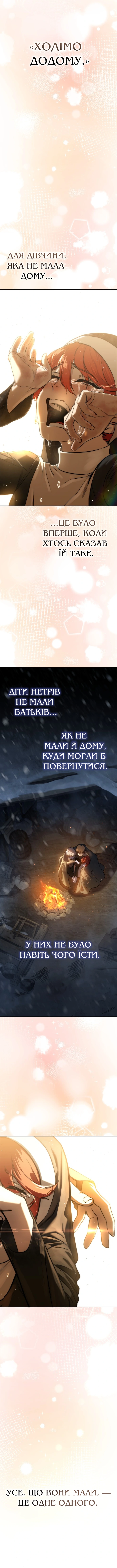 Сторінка 17